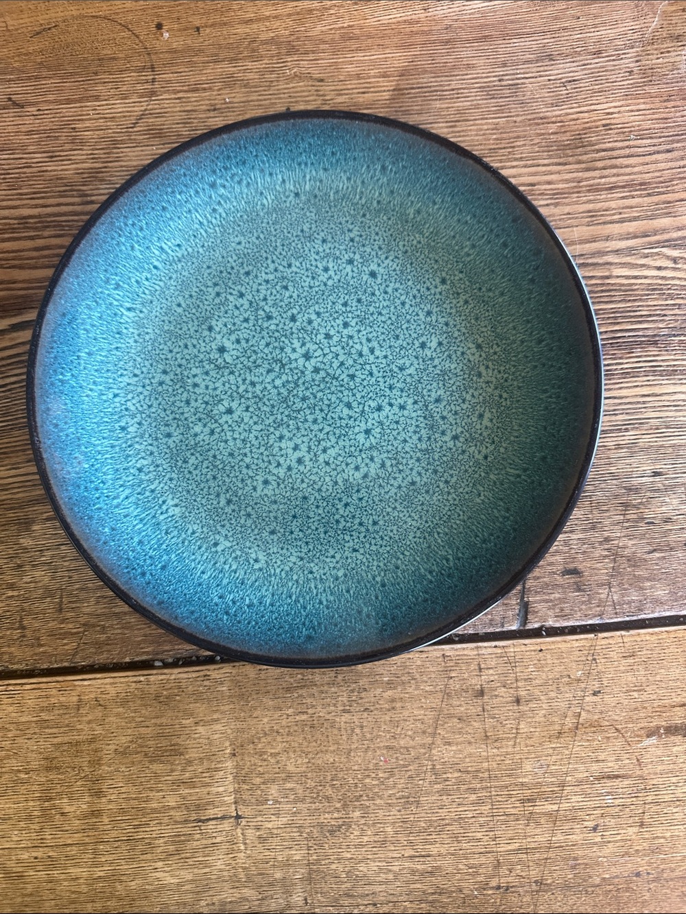 Threshold Brand Belmont Green Plate